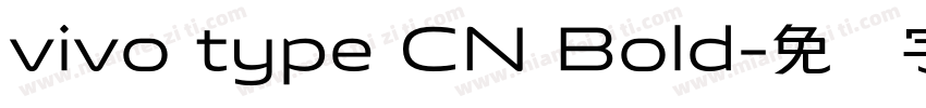 vivo type CN Bold字体转换